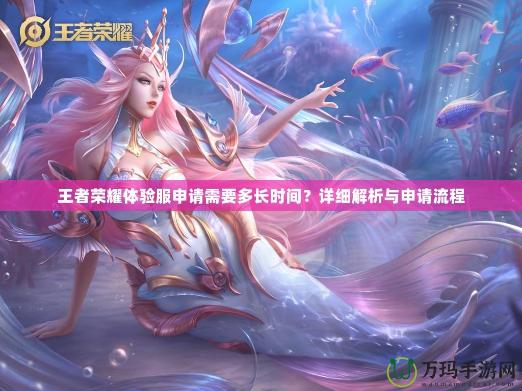 王者榮耀體驗(yàn)服申請(qǐng)需要多長(zhǎng)時(shí)間？詳細(xì)解析與申請(qǐng)流程
