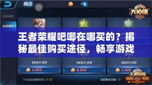 王者榮耀吧唧在哪買的？揭秘最佳購(gòu)買途徑，暢享游戲樂(lè)趣！