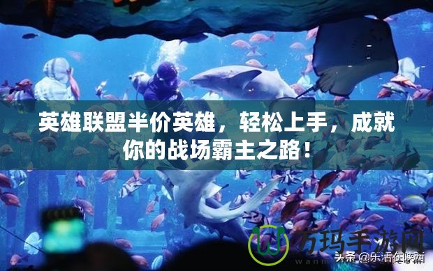 英雄聯(lián)盟半價(jià)英雄，輕松上手，成就你的戰(zhàn)場(chǎng)霸主之路！