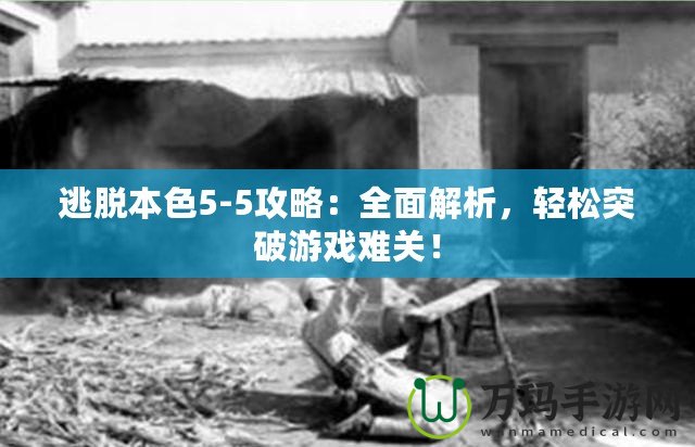 逃脫本色5-5攻略：全面解析，輕松突破游戲難關(guān)！