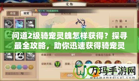 問道2級騎寵靈魄怎樣獲得？探尋最全攻略，助你迅速獲得騎寵靈魄！