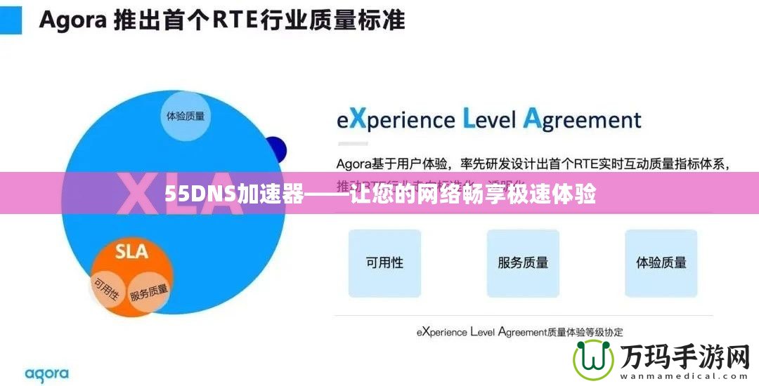 55DNS加速器——讓您的網(wǎng)絡暢享極速體驗