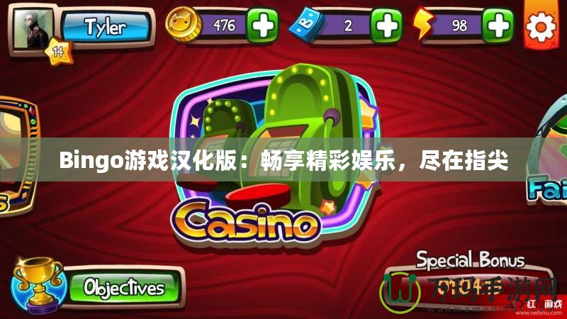 Bingo游戲漢化版：暢享精彩娛樂，盡在指尖