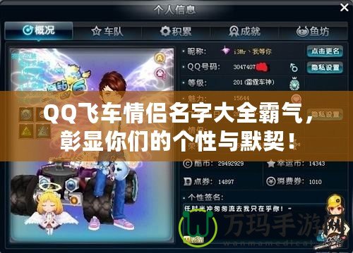 QQ飛車(chē)情侶名字大全霸氣，彰顯你們的個(gè)性與默契！