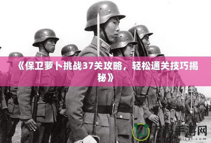 《保衛(wèi)蘿卜挑戰(zhàn)37關(guān)攻略，輕松通關(guān)技巧揭秘》
