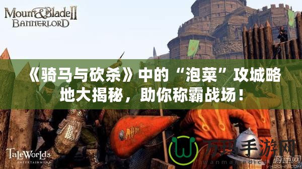 《騎馬與砍殺》中的“泡菜”攻城略地大揭秘，助你稱霸戰(zhàn)場(chǎng)！