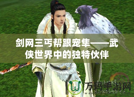 劍網(wǎng)三丐幫跟寵隼——武俠世界中的獨特伙伴