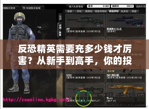 反恐精英需要充多少錢才厲害？從新手到高手，你的投資價值幾何！