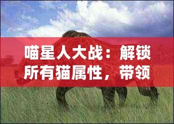 喵星人大戰(zhàn)：解鎖所有貓屬性，帶領(lǐng)貓咪軍團制霸宇宙！