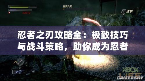 忍者之刃攻略全：極致技巧與戰(zhàn)斗策略，助你成為忍者大師