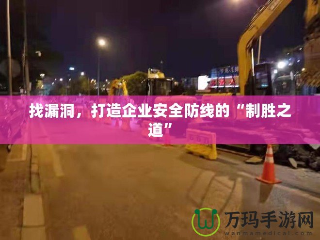 找漏洞，打造企業(yè)安全防線的“制勝之道”
