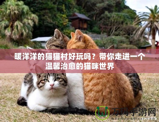 暖洋洋的貓貓村好玩嗎？帶你走進(jìn)一個(gè)溫馨治愈的貓咪世界