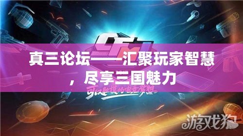 真三論壇——匯聚玩家智慧，盡享三國(guó)魅力
