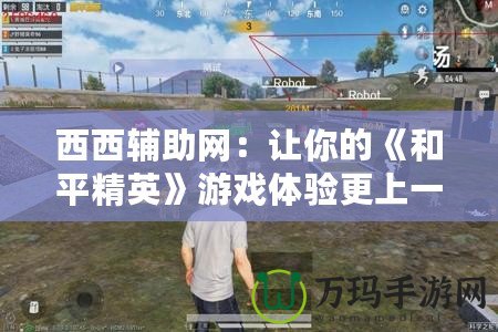 西西輔助網(wǎng)：讓你的《和平精英》游戲體驗(yàn)更上一層樓！