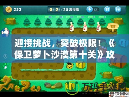 迎接挑戰(zhàn)，突破極限！《保衛(wèi)蘿卜沙漠第十關(guān)》攻略全解析