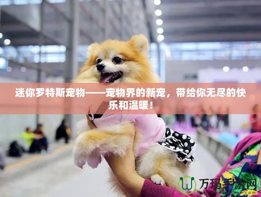 迷你羅特斯寵物——寵物界的新寵，帶給你無盡的快樂和溫暖！