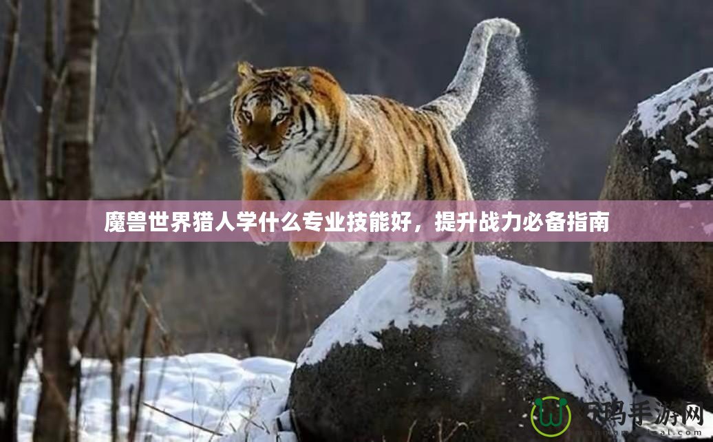 魔獸世界獵人學(xué)什么專業(yè)技能好，提升戰(zhàn)力必備指南