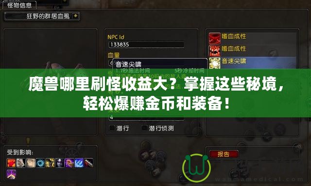 魔獸哪里刷怪收益大？掌握這些秘境，輕松爆賺金幣和裝備！
