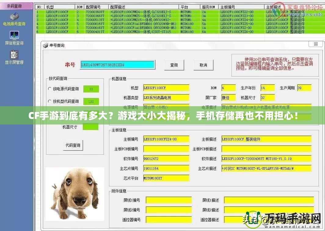 CF手游到底有多大？游戲大小大揭秘，手機(jī)存儲再也不用擔(dān)心！