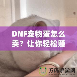 DNF寵物蛋怎么賣？讓你輕松賺取豐厚收益的實用技巧