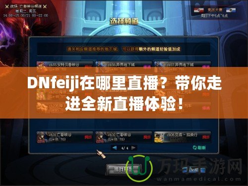 DNfeiji在哪里直播？帶你走進全新直播體驗！