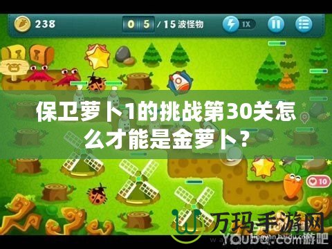 保衛(wèi)蘿卜1的挑戰(zhàn)第30關(guān)怎么才能是金蘿卜？