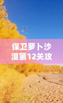 保衛(wèi)蘿卜沙漠第12關(guān)攻略：征服沙漠之中的挑戰(zhàn)，成就最強防線！