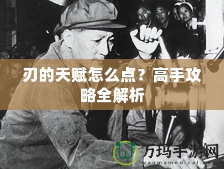 刃的天賦怎么點(diǎn)？高手攻略全解析