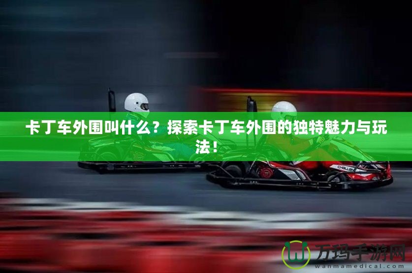 卡丁車外圍叫什么？探索卡丁車外圍的獨(dú)特魅力與玩法！