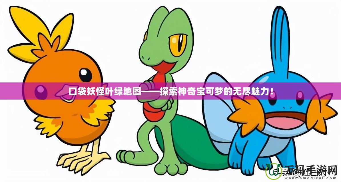 口袋妖怪葉綠地圖——探索神奇寶可夢的無盡魅力！