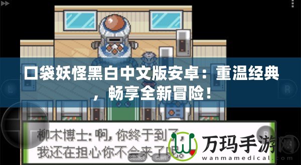 口袋妖怪黑白中文版安卓：重溫經(jīng)典，暢享全新冒險！