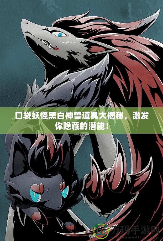 口袋妖怪黑白神獸道具大揭秘，激發(fā)你隱藏的潛能！