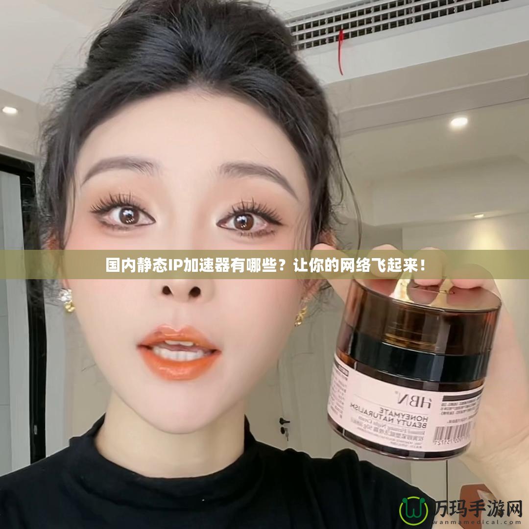 國內(nèi)靜態(tài)IP加速器有哪些？讓你的網(wǎng)絡(luò)飛起來！