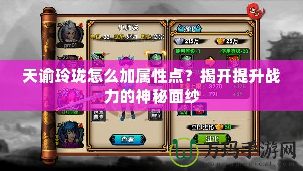 天諭玲瓏怎么加屬性點(diǎn)？揭開提升戰(zhàn)力的神秘面紗