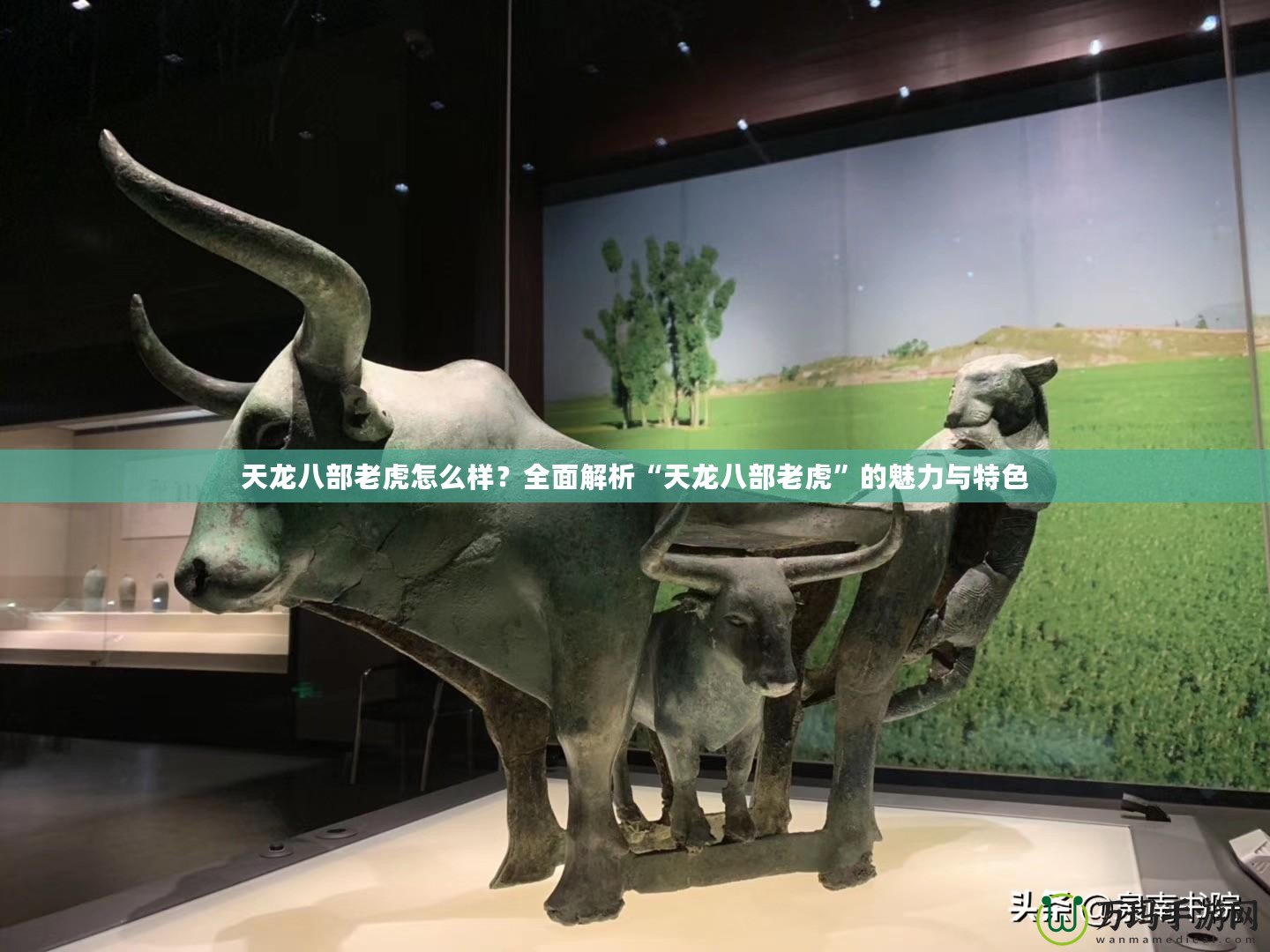 天龍八部老虎怎么樣？全面解析“天龍八部老虎”的魅力與特色