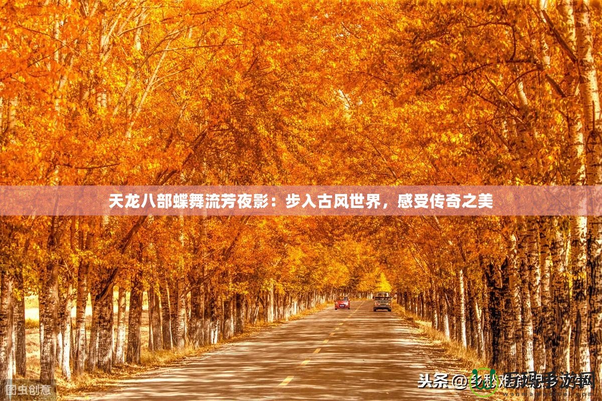 天龍八部蝶舞流芳夜影：步入古風(fēng)世界，感受傳奇之美