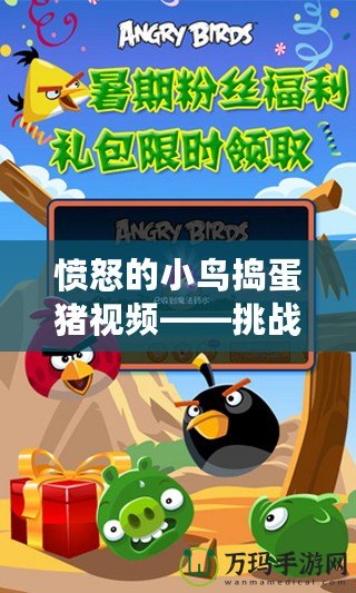 憤怒的小鳥搗蛋豬視頻——挑戰(zhàn)與樂趣的完美結(jié)合
