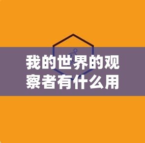 我的世界的觀察者有什么用？深度解析與實(shí)戰(zhàn)應(yīng)用