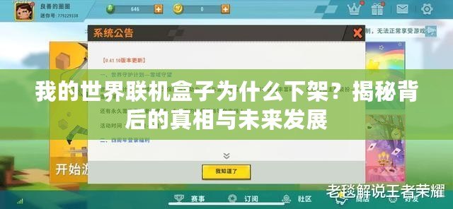 我的世界聯(lián)機(jī)盒子為什么下架？揭秘背后的真相與未來(lái)發(fā)展