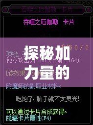 探秘加力量的寶珠——它是如何提升你的力量和運(yùn)勢(shì)的？
