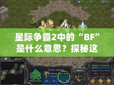 星際爭霸2中的“BF”是什么意思？探秘這個(gè)詞匯背后的深層含義