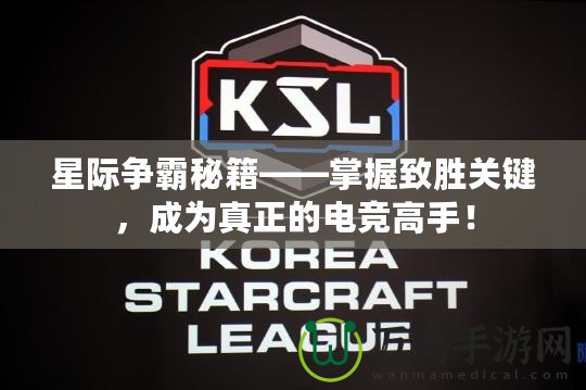 星際爭霸秘籍——掌握致勝關(guān)鍵，成為真正的電競高手！