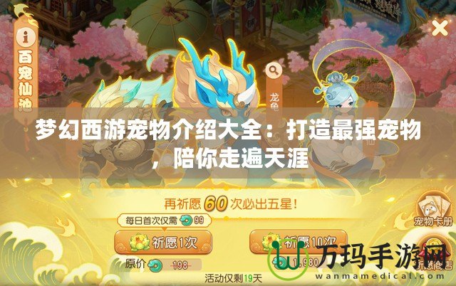 夢(mèng)幻西游寵物介紹大全：打造最強(qiáng)寵物，陪你走遍天涯