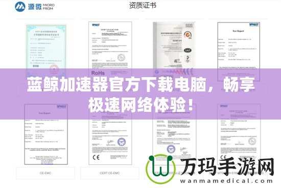 藍(lán)鯨加速器官方下載電腦，暢享極速網(wǎng)絡(luò)體驗(yàn)！