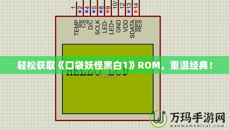 輕松獲取《口袋妖怪黑白1》ROM，重溫經(jīng)典！