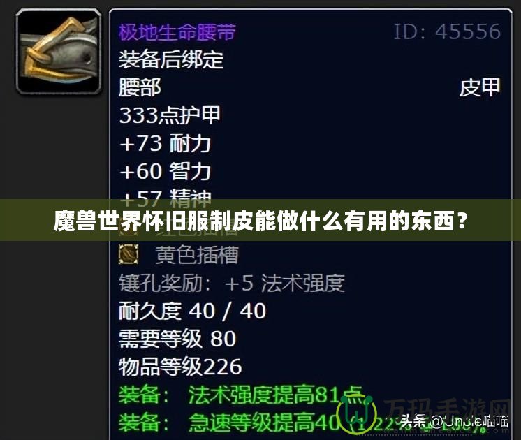 魔獸世界懷舊服制皮能做什么有用的東西？