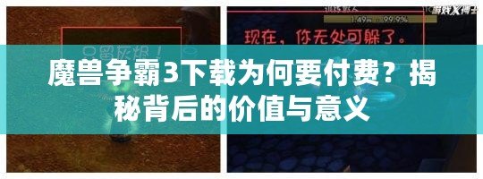 魔獸爭(zhēng)霸3下載為何要付費(fèi)？揭秘背后的價(jià)值與意義