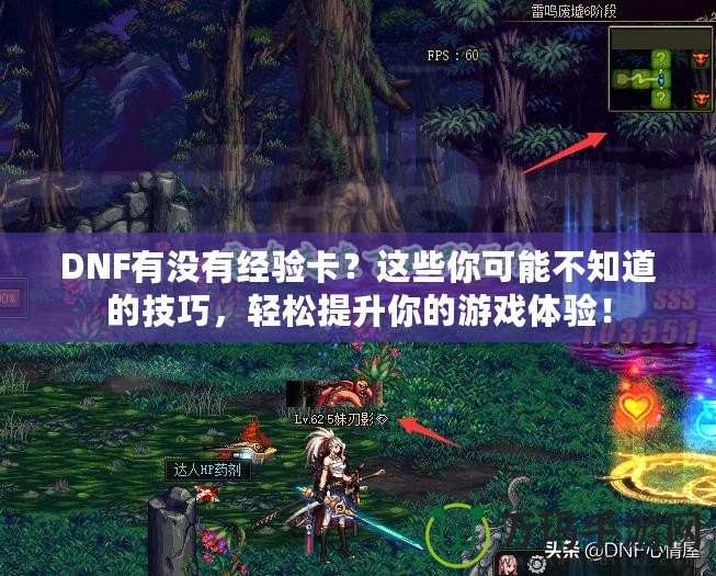 DNF有沒(méi)有經(jīng)驗(yàn)卡？這些你可能不知道的技巧，輕松提升你的游戲體驗(yàn)！
