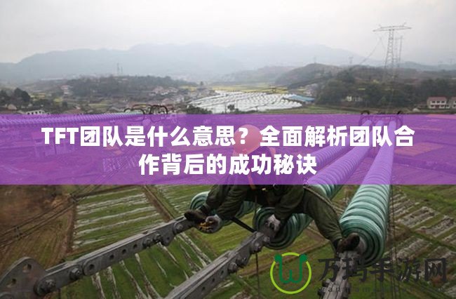 TFT團(tuán)隊(duì)是什么意思？全面解析團(tuán)隊(duì)合作背后的成功秘訣