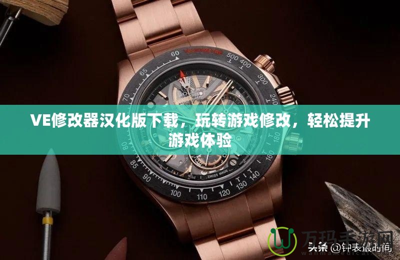 VE修改器漢化版下載，玩轉(zhuǎn)游戲修改，輕松提升游戲體驗(yàn)
